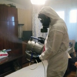 Дезинфекция от клопов в Рузаевке