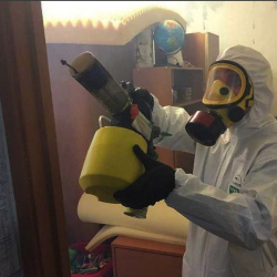 Уничтожение клопов в квартире. Рузаевка
